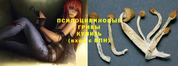твердый Белокуриха