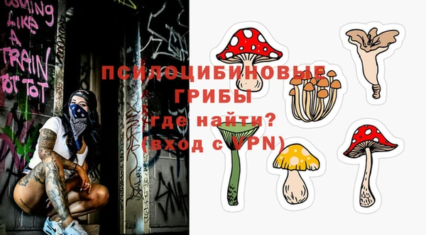 твердый Белокуриха