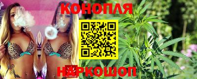 стафф Краснодар