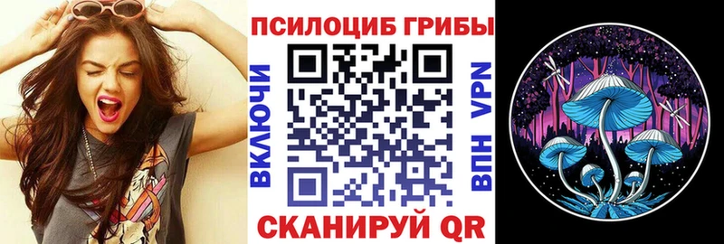 цена наркотик  Калуга  mega зеркало  Галлюциногенные грибы мухоморы 
