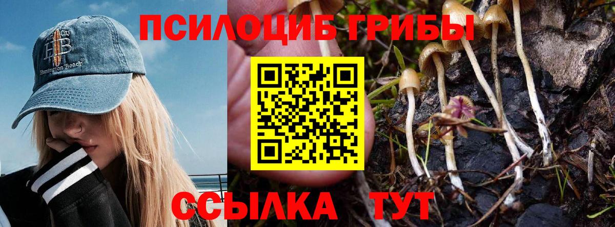 Псилоцибиновые грибы прущие грибы Калуга