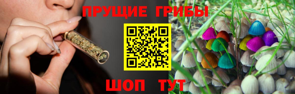 Псилоцибиновые грибы прущие грибы  Вход с VPN  Галлюциногенные грибы мицелий  Калуга 